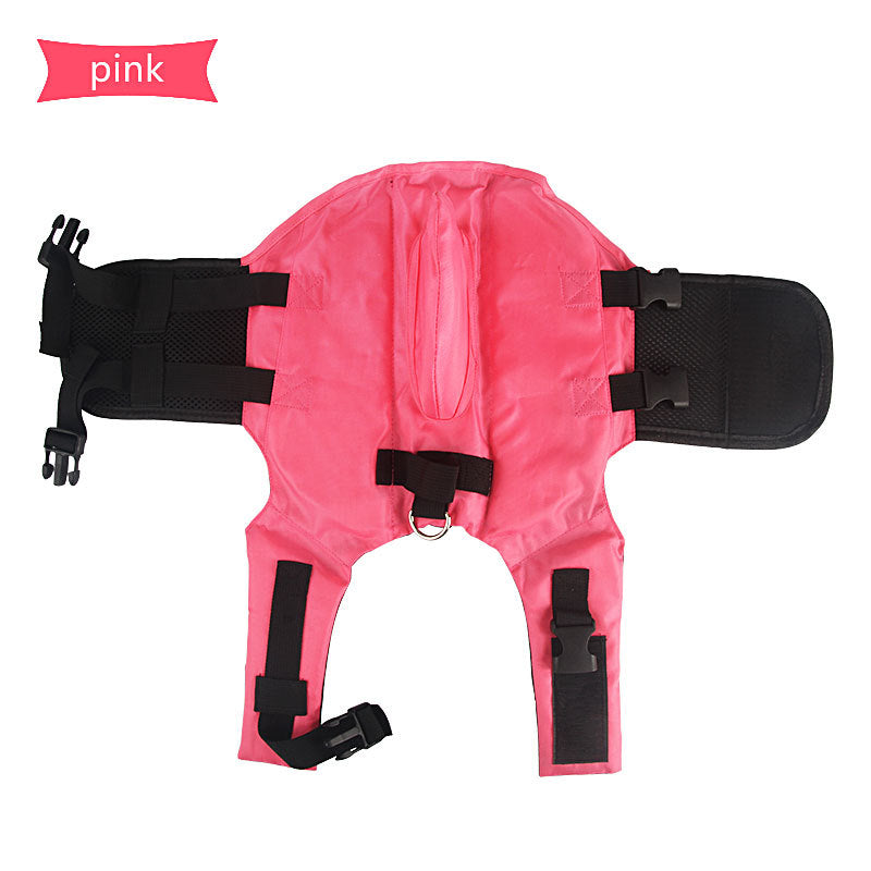 Dog Life Jacket – Shark Design for Summer Adventures