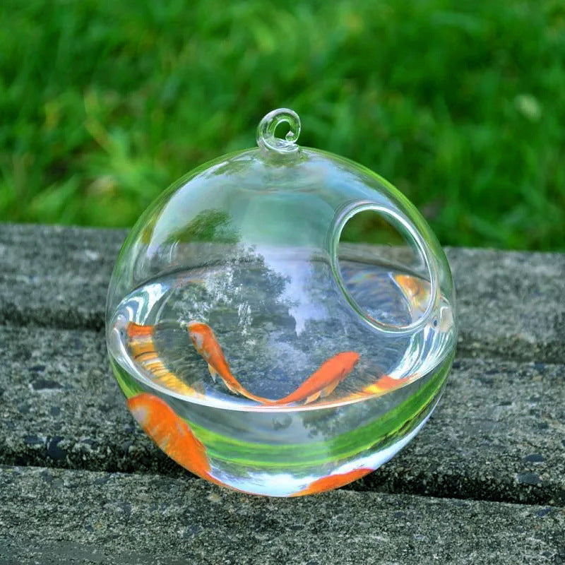Hanging Glass Fish Bowl