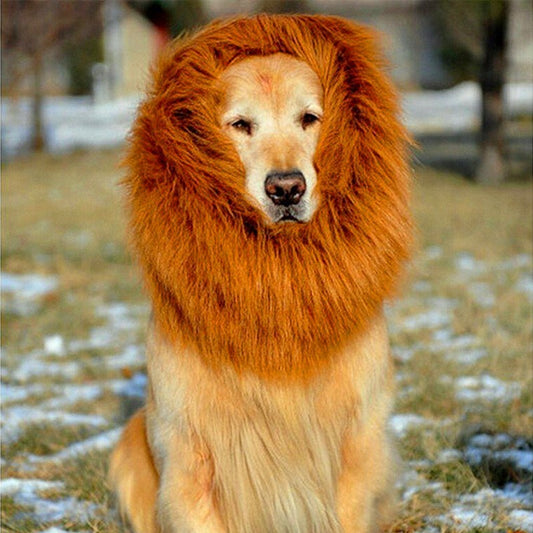 Lion Wig for Large Dogs – Pet Dress-Up Costume